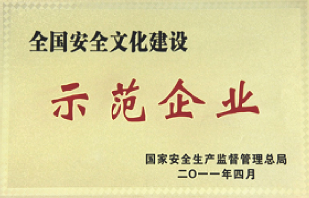 全国安全文化建设示范企业