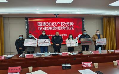 best365中国版官网荣获2022年度“国家知识产权优势企业”